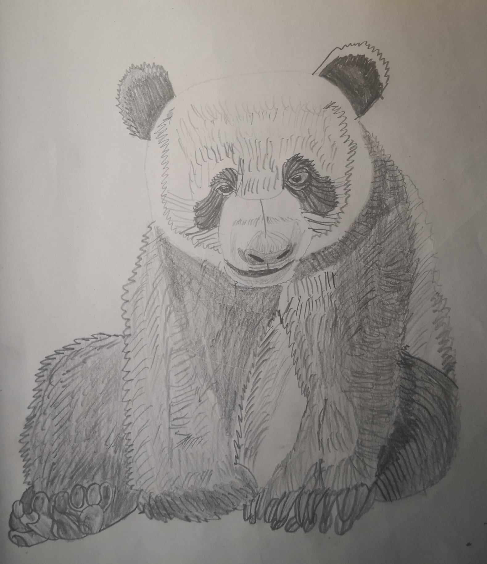 Bartłomiej Walczak – panda – szkic